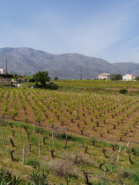 Christina Villas- Minoan Inland Pentamodi Exterior photo